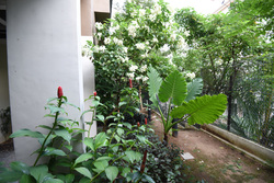 The Thomson Duplex (D11), Apartment #173612882